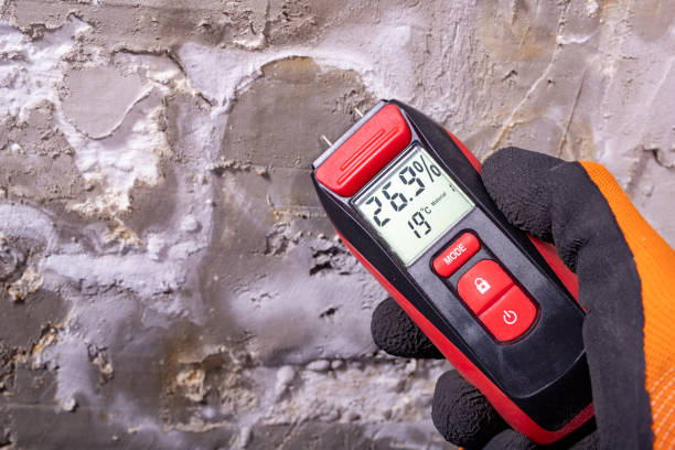 Best Kitchen Mold Remediation in Westport, IN