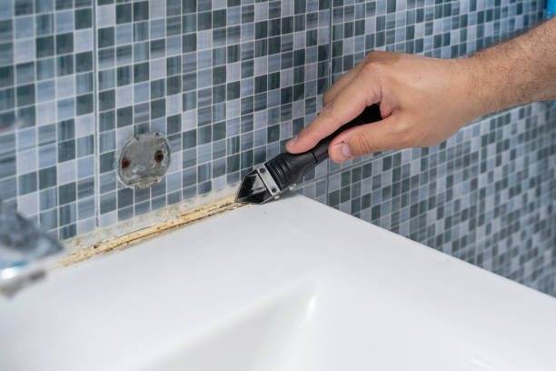 Best White Mold Remediation in Westport, IN